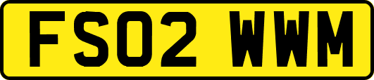 FS02WWM