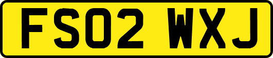 FS02WXJ