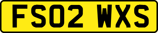FS02WXS