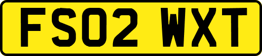 FS02WXT
