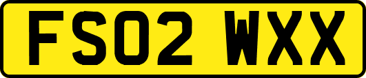 FS02WXX