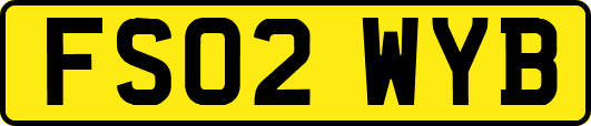 FS02WYB