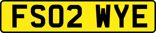 FS02WYE