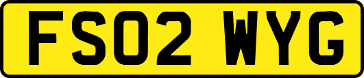 FS02WYG