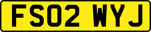 FS02WYJ