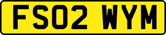 FS02WYM