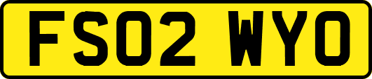FS02WYO