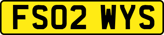 FS02WYS