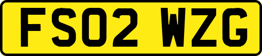 FS02WZG