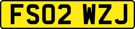 FS02WZJ