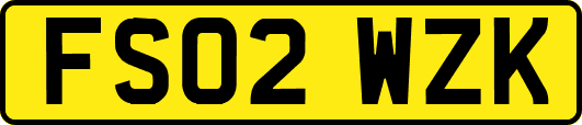 FS02WZK