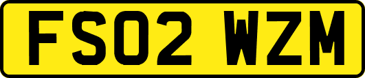 FS02WZM