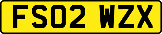 FS02WZX