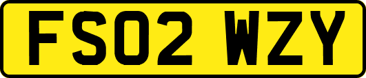 FS02WZY