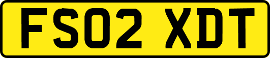 FS02XDT
