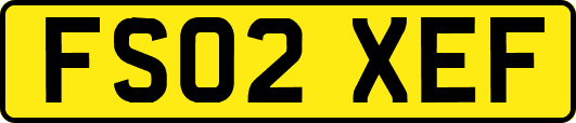 FS02XEF