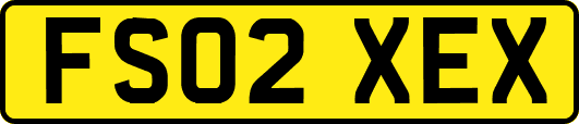 FS02XEX