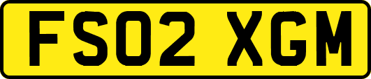 FS02XGM