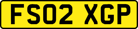 FS02XGP