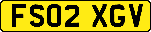 FS02XGV