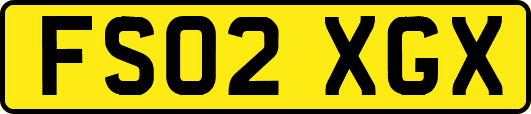 FS02XGX