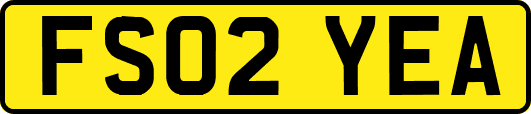 FS02YEA