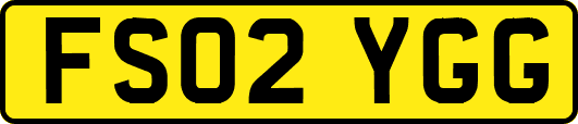 FS02YGG