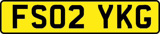 FS02YKG