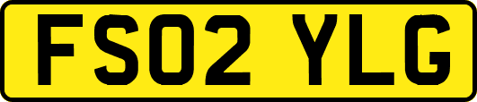 FS02YLG