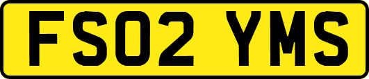 FS02YMS