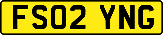 FS02YNG