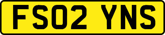 FS02YNS