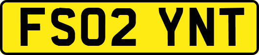 FS02YNT