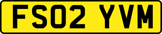 FS02YVM
