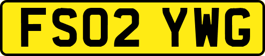 FS02YWG