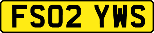 FS02YWS