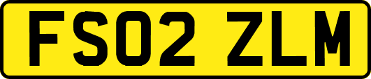 FS02ZLM