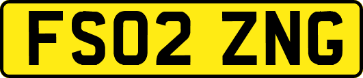 FS02ZNG