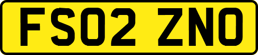 FS02ZNO