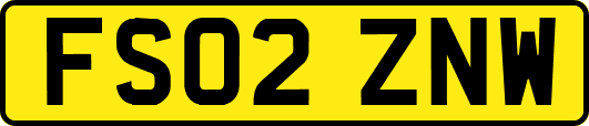 FS02ZNW