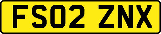 FS02ZNX
