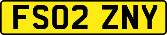 FS02ZNY