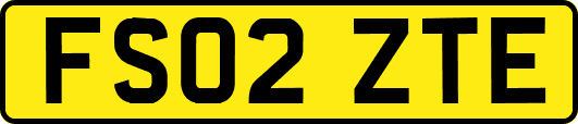 FS02ZTE