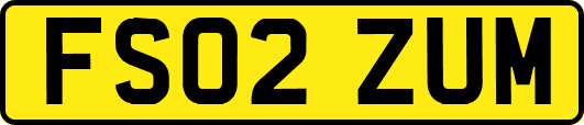 FS02ZUM
