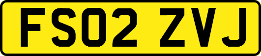 FS02ZVJ