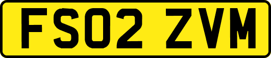FS02ZVM