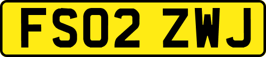 FS02ZWJ