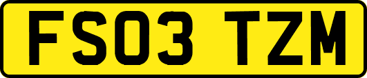FS03TZM