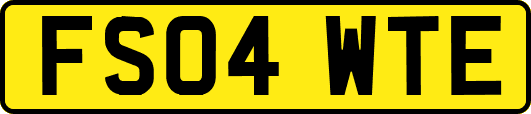 FS04WTE