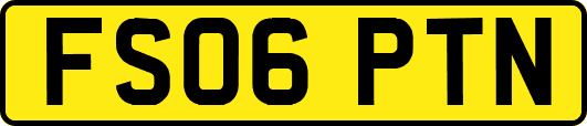 FS06PTN